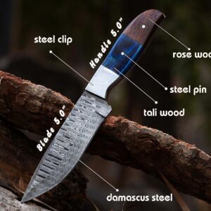 Custom handmade Damascus steel Hunting Skinner knife, Camping knife, Outdoor knife, Full tang knife, With leather sheath