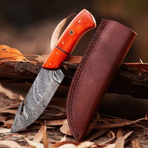 Custom handmade Damascus steel Hunting Skinner knife, camping knife, Survival knife, Gut hook Full tang knife, With Resin (Copy)